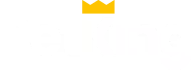 NG BetKing Logo